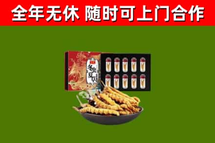 长阳回收冬虫夏草价格